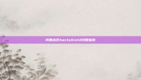 风暴战区hackshield攻略指南