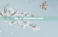 爱非啇克，游戏攻略与技巧全解析