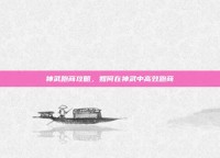 神武跑商攻略，如何在神武中高效跑商