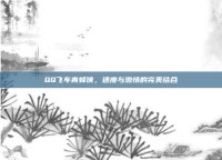 QQ飞车青蜂侠，速度与激情的完美结合