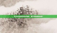 龙之谷中的职业选择指南，哪个职业最受欢迎？