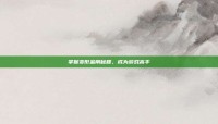 掌握变形金刚秘籍，成为游戏高手