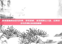 野苋菜根的功效与作用，野苋菜根，被忽视的土人参，它的功效与作用让你刮目相看