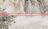 pubg没有游戏体验，PUBG没有游戏体验？这锅到底该谁背？