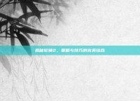 揭秘轮换2，策略与技巧的完美结合