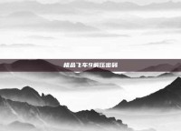 极品飞车9解压密码