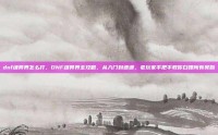 dnf魂异界怎么打，DNF魂异界全攻略，从入门到速通，老玩家手把手教你白嫖所有奖励
