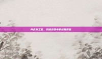 阿古斯之怒，揭秘游戏中的终极挑战
