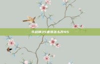 斗战神35套装怎么升45