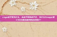 csgo点子哥为什么，从点子哥到点子王，为什么Snappi是CSGO最会画饼的战术鬼才？