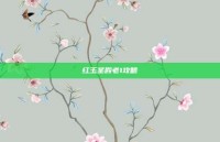 红玉圣殿老1攻略