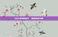 DNF宠物憨憨牛，萌宠养成攻略