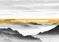 肉山前NPC攻略，揭秘游戏中的隐藏宝藏