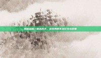 揭秘盗版三国志民夫，游戏界的不法行为与对策