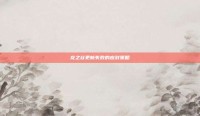 龙之谷更新失败的应对策略