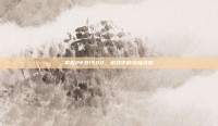 掌握PKB1500，游戏中的终极武器