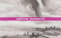 王者荣耀大区攻略，如何高效利用游戏资源