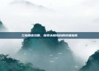 兰岛物语攻略，探索未知岛屿的终极指南