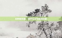 狂野破坏者，极致玩法与深度攻略