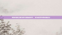 掌握光明之魂2格斗家加点技巧，成为游戏中的终极战士