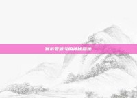 赛尔号波戈的神秘踪迹