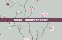 游戏攻略，揭秘冒险岛中的偷窃高手