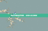 暗区突围游戏攻略，杂物大全全解析