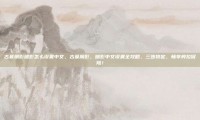 古墓丽影暗影怎么设置中文，古墓丽影，暗影中文设置全攻略，三步搞定，畅享劳拉冒险！