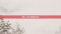 NBA 2K13闪退怎么办？