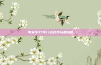 小米SU7车门未对齐问题解答