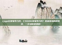 csgo比赛每年几月，CSGO比赛每年几月？职业赛场的时间线，一次给你讲清楚！