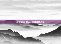 彩虹论坛 Box 游戏攻略大全