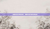 战国无双2阿市外传，策略与技巧的完美结合