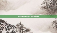 男气功带什么武器？游戏攻略指南