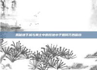 揭秘地下城与勇士中的挖地小子如何巧妙偷窃
