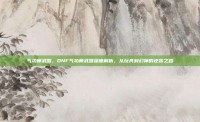 气功师武器，DNF气功师武器深度解析，从玩具到幻神的逆袭之路