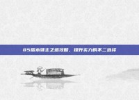 85版本领主之塔攻略，提升实力的不二选择