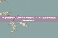 csgo标签句子，从Rush B到老六，CSGO标签句子背后的玩家群像文化