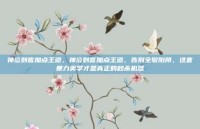 神泣刺客加点王道，神泣刺客加点王道，告别全敏陷阱，这套暴力美学才是真正的秒杀机器