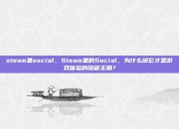 steam里social，Steam里的Social，为什么说它才是游戏体验的隐藏主角？