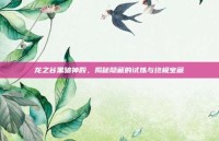 龙之谷黑暗神殿，揭秘隐藏的试炼与终极宝藏
