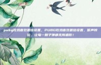 pubg吃鸡音效最佳设置，PUBG吃鸡音效最佳设置，听声辨位，让每一颗子弹都无所遁形！