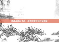 热血无赖开飞机，游戏攻略与技巧全解析