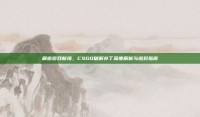 解密游戏新境，CSGO破解补丁深度解析与应对指南