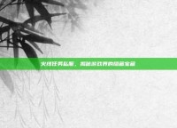 火线任务私服，揭秘游戏界的隐藏宝藏