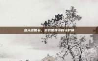 盛大密保卡，游戏世界中的守护神