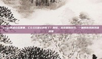 csgo的准心在哪里，CS:GO准心消失了？别慌，从设置到技巧，一篇教你找到灵魂准星