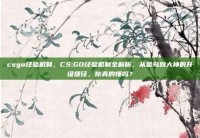 csgo经验机制，CS:GO经验机制全解析，从菜鸟到大神的升级捷径，你真的懂吗？