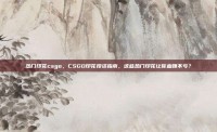 热门印花csgo，CSGO印花投资指南，这些热门印花让你血赚不亏？
