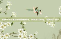 揭秘子午七星剑中的隐藏技巧，解锁游戏Bug，提升战斗效率